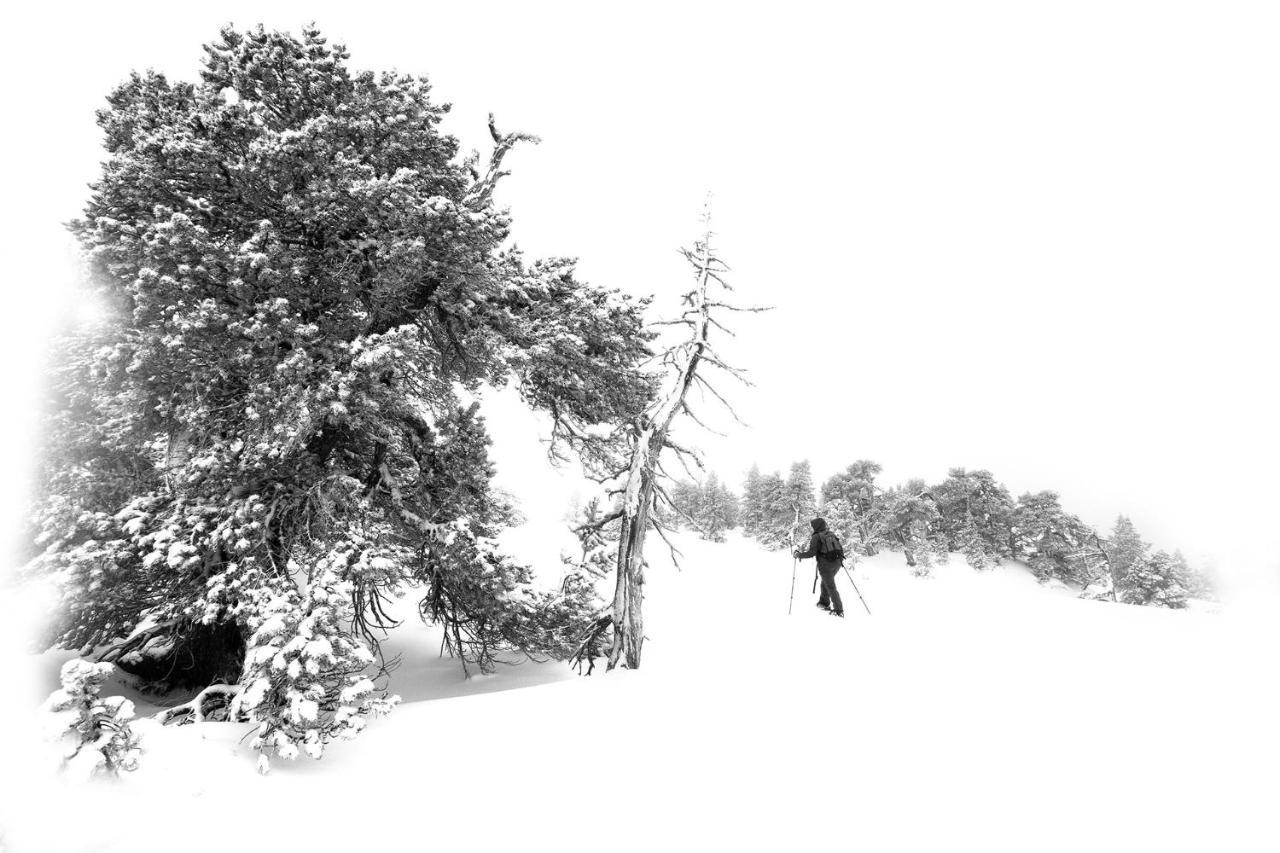 Atipic Lodge Arette Bagian luar foto