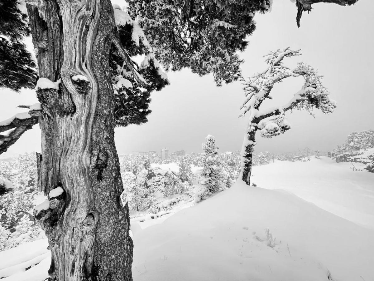 Atipic Lodge Arette Bagian luar foto